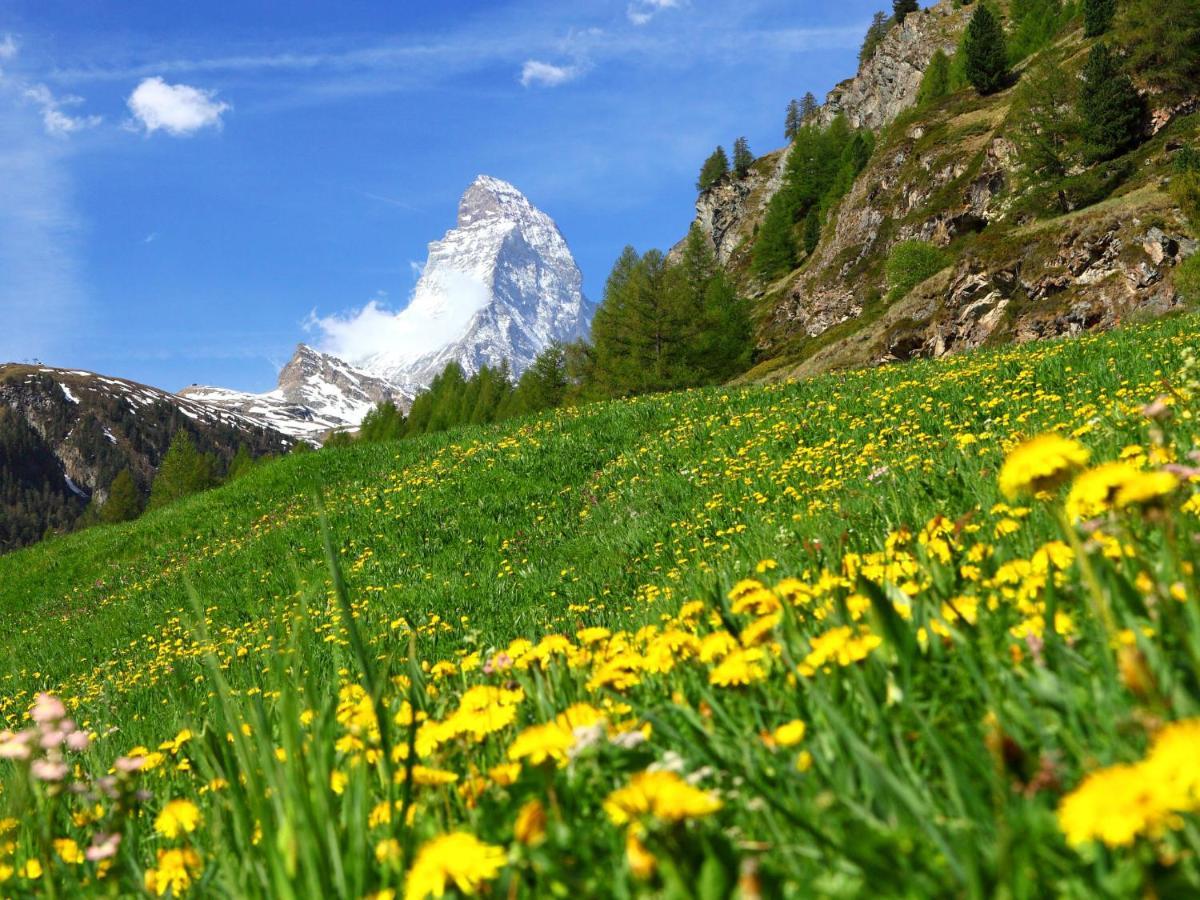 Zur Matte B-1 By Interhome Apartment Zermatt